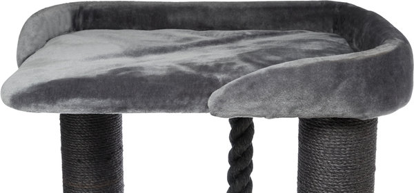 Trixie Krabpaal Maine Coon Sergio