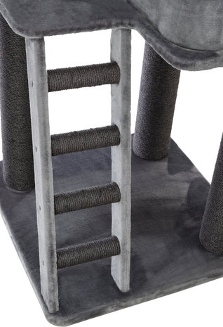 Trixie Krabpaal Maine Coon Sergio