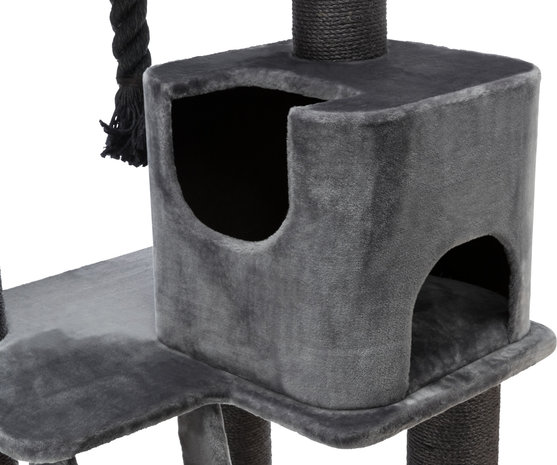 Trixie Krabpaal Maine Coon Sergio