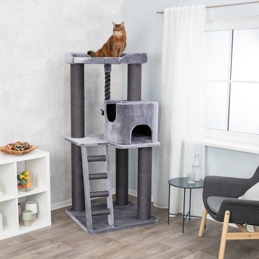 Trixie Krabpaal Maine Coon Sergio