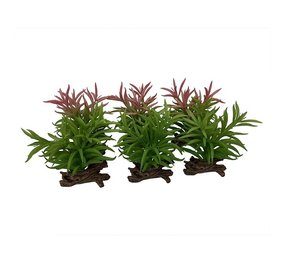 Terra Della Kunstplant Crassula