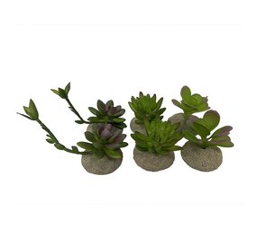 Terra Della Kunstplant Succulenten
