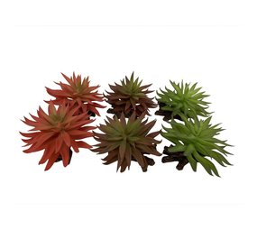 Terra Della Kunstplant Sedum