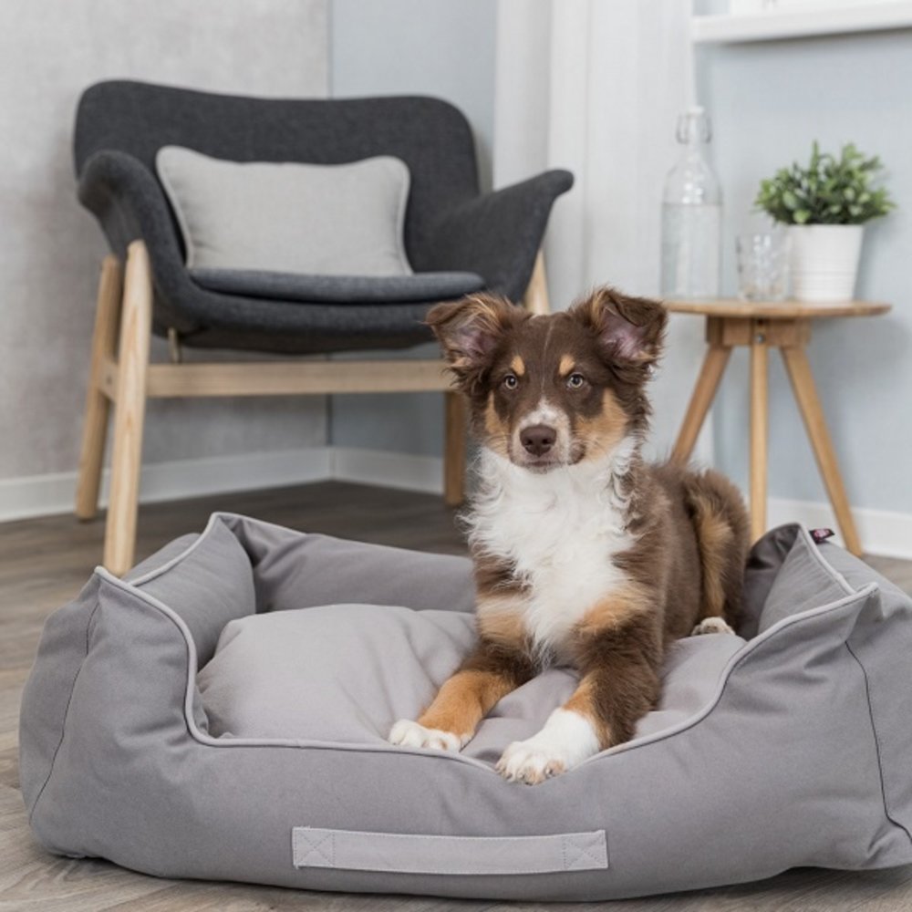 Trixie Hondenmand Be Eco Danilo Strong Edition