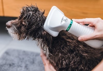 Geen gebakken Lucht!