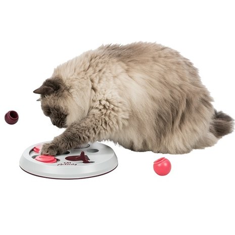 Trixie Cat Activity Flip Board