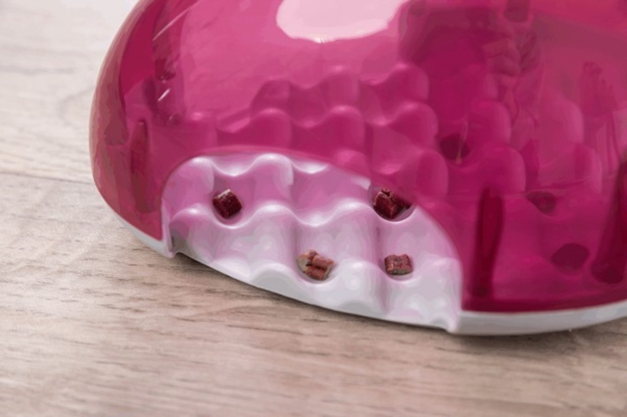 Trixie Snack Box Strategy Game