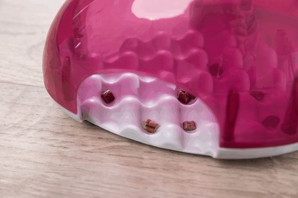 Trixie Snack Box Strategy Game