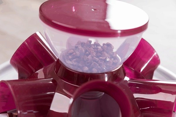 Trixie Tunnel Feeder Strategy Game Trixie Tunnel Feeder Strategy Game