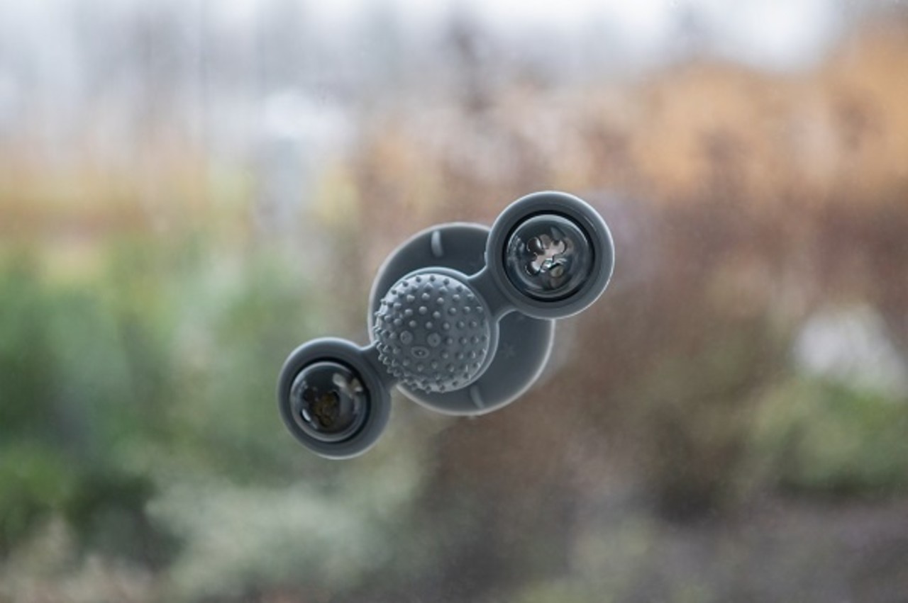 Trixie Venster Tol Kattenspeelgoed