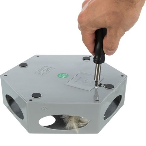 Trixie Turning Feather