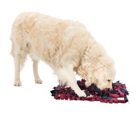 Trixie Dog Activity Snuffelmat Franjes Trixie Dog Activity Snuffelmat Franjes