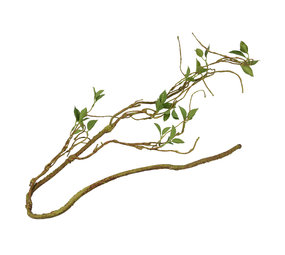 Terra Della Plantentak dun 130 cm