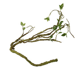 Terra Della Plantentak dik 110 cm