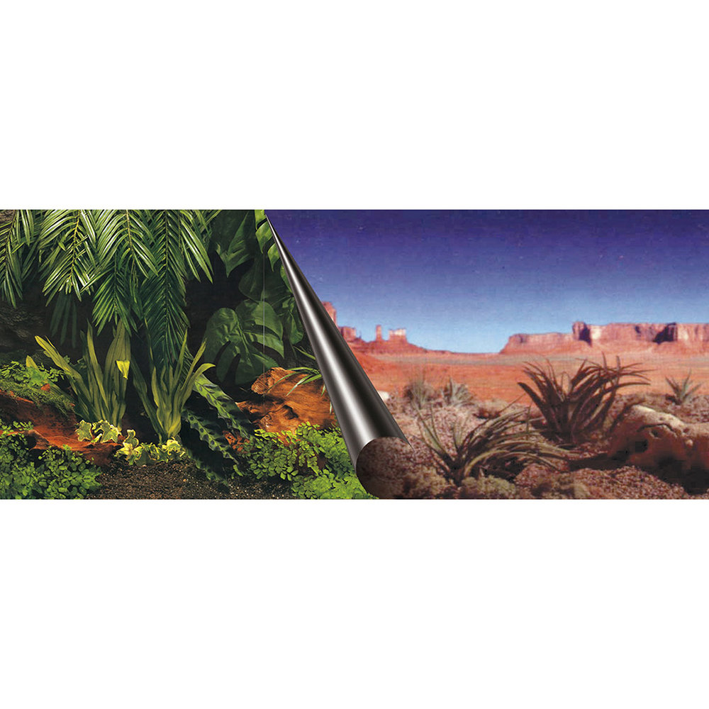 EBI Terrarium Poster Achterwand Jungle & Desert EBI Terrarium Poster Achterwand Jungle & Desert