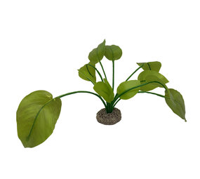 Aqua Della Kunstplant Anubias 2 Aqua Della Kunstplant Anubias 2