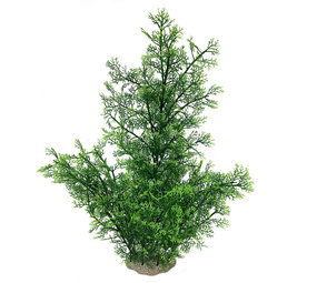 Aqua Della Kunstplant Phoenix Groen XL Aqua Della Kunstplant Phoenix Groen XL