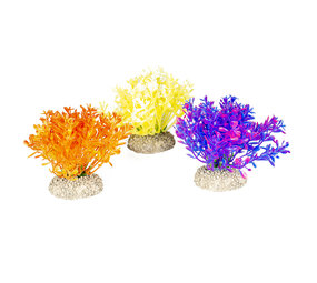 Aqua Della Kunstplant Glosso Aqua Della Kunstplant Glosso