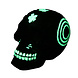Aqua Della Glow in the Dark Schedel 4 Aqua Della Glow in the Dark Schedel 4