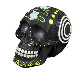 Aqua Della Glow in the Dark Schedel 4 Aqua Della Glow in the Dark Schedel 4