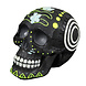 Aqua Della Glow in the Dark Schedel 4 Aqua Della Glow in the Dark Schedel 4