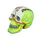 Aqua Della Glow in the Dark Schedel 2 Aqua Della Glow in the Dark Schedel 2