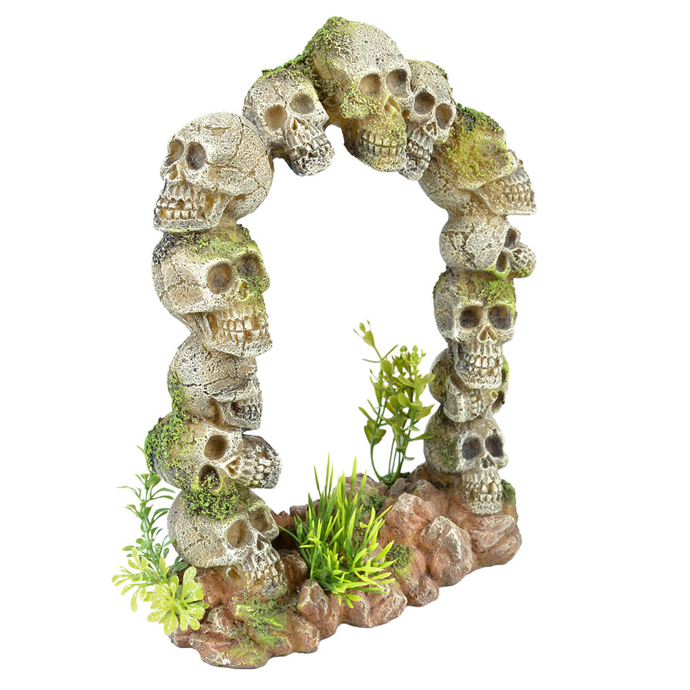 Aqua Della Doodshoofd Poort