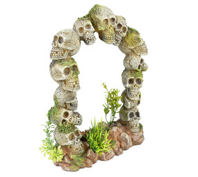 Aqua Della Doodshoofd Poort