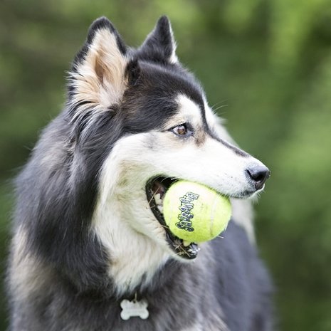 KONG Air Squeaker Tennisbal 3 stuks