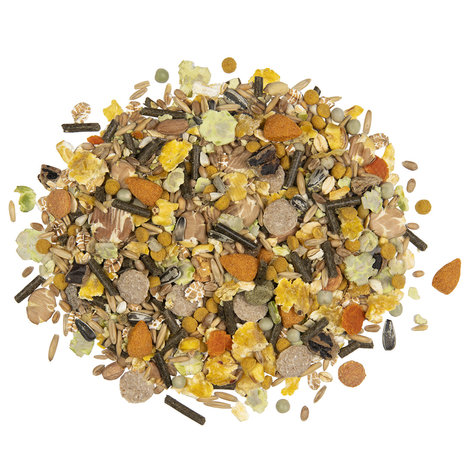 Witte Molen Country Hamster & Friends