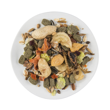 Witte Molen Puur Rat