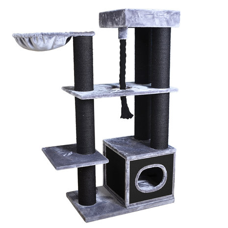 EBI Krabpaal Leicester Maine Coon donkergrijs