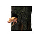 Terra Della Gecko Boom Terra Della Gecko Boom
