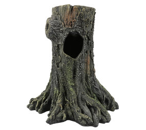 Terra Della Gecko Boom Terra Della Gecko Boom