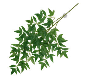 Terra Della Hangende Plant Nandina