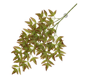 Terra Della Hangende Plant Nandina geel/groen