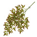 Terra Della Hangende Plant Nandina geel/groen Terra Della Hangende Plant Nandina geel/groen