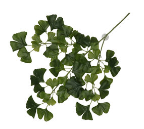 Terra Della Hangende Plant Ginko Donkergroen Terra Della Hangende Plant Ginko Donkergroen