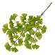 Terra Della Hangende Plant Ginko groen Terra Della Hangende Plant Ginko groen