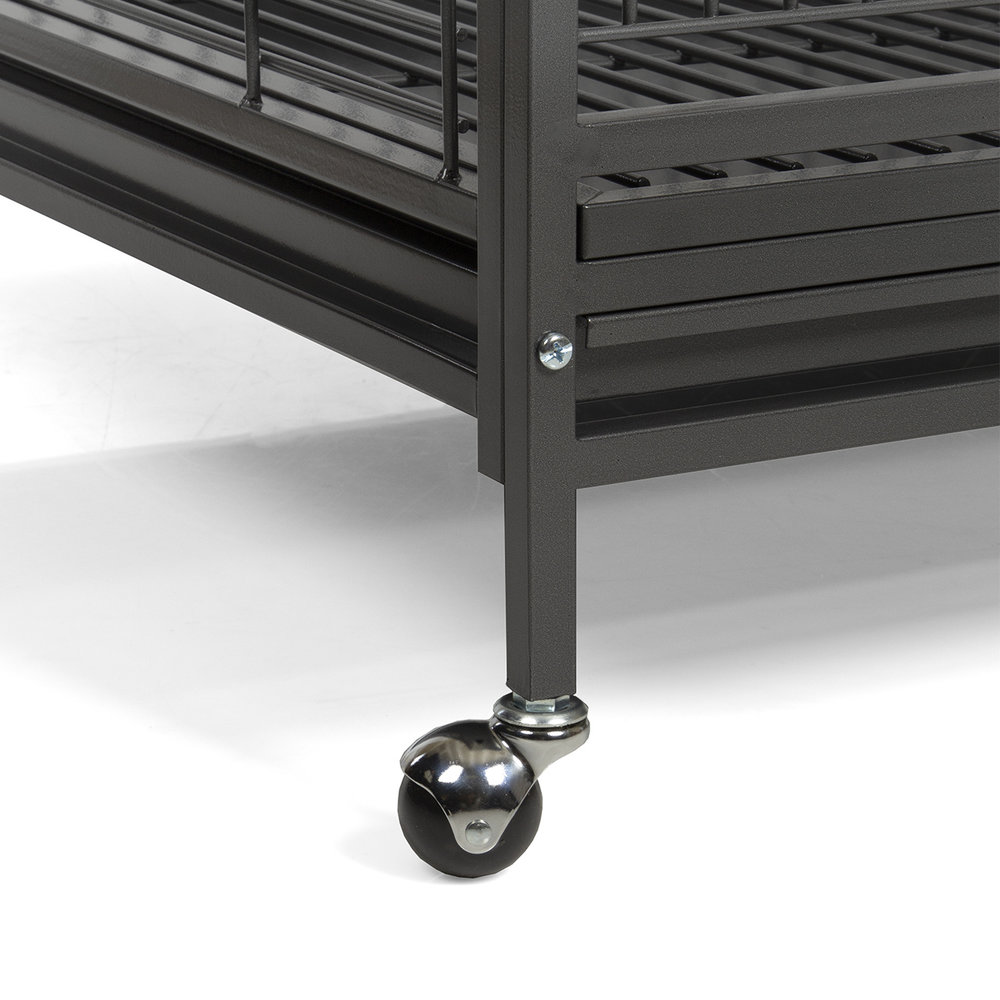 Montana New Arkansas I Antique mod 2024