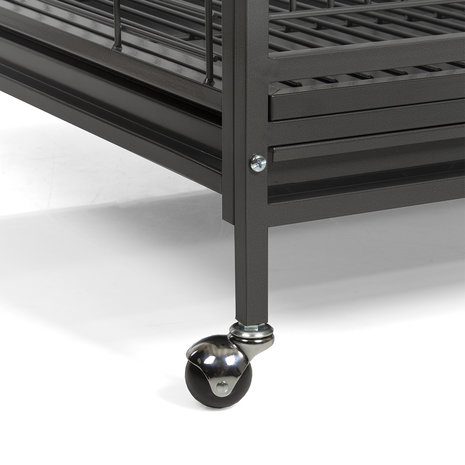 Montana New Arkansas I Antique mod 2024