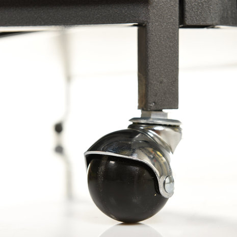 Montana Papegaaienkooi Denver Antique