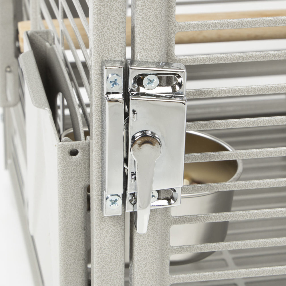 Montana Reiskooi Vogels en Papegaai