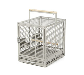 Montana Reiskooi Vogels en Papegaai Montana Reiskooi Vogels en Papegaai