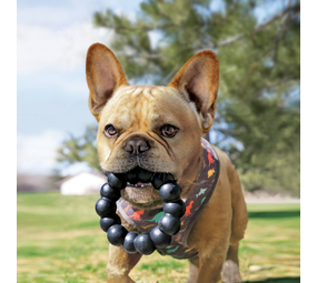 KONG Extreme Ring XL