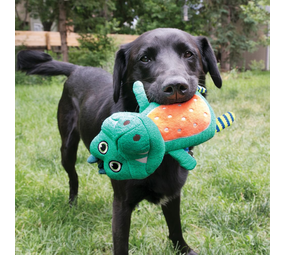 KONG Whoopz Alligator