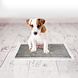 Duvo+ Puppy Pads Carbon 45 x 60 cm 30 stuks Duvo+ Puppy Pads Carbon 45 x 60 cm 30 stuks