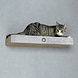 CanadianCat Company Krab Ligplaats voor Montage aan de muur lichtgrijs CanadianCat Company Krab Ligplaats voor Montage aan de muur lichtgrijs