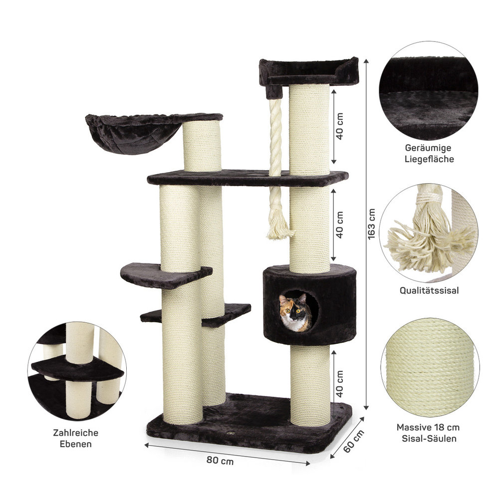 CanadianCat Company Krabpaal Maine Coon Brockville antraciet