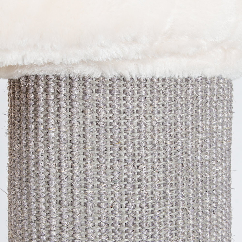 CanadianCat Company Krabpaal Maine Coon Ottawa beige